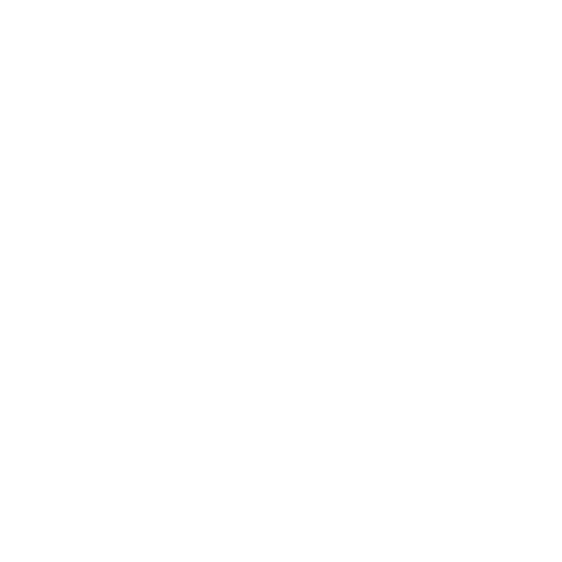 Icon representing robust security with encrypted data processing for privacy and confidentiality.